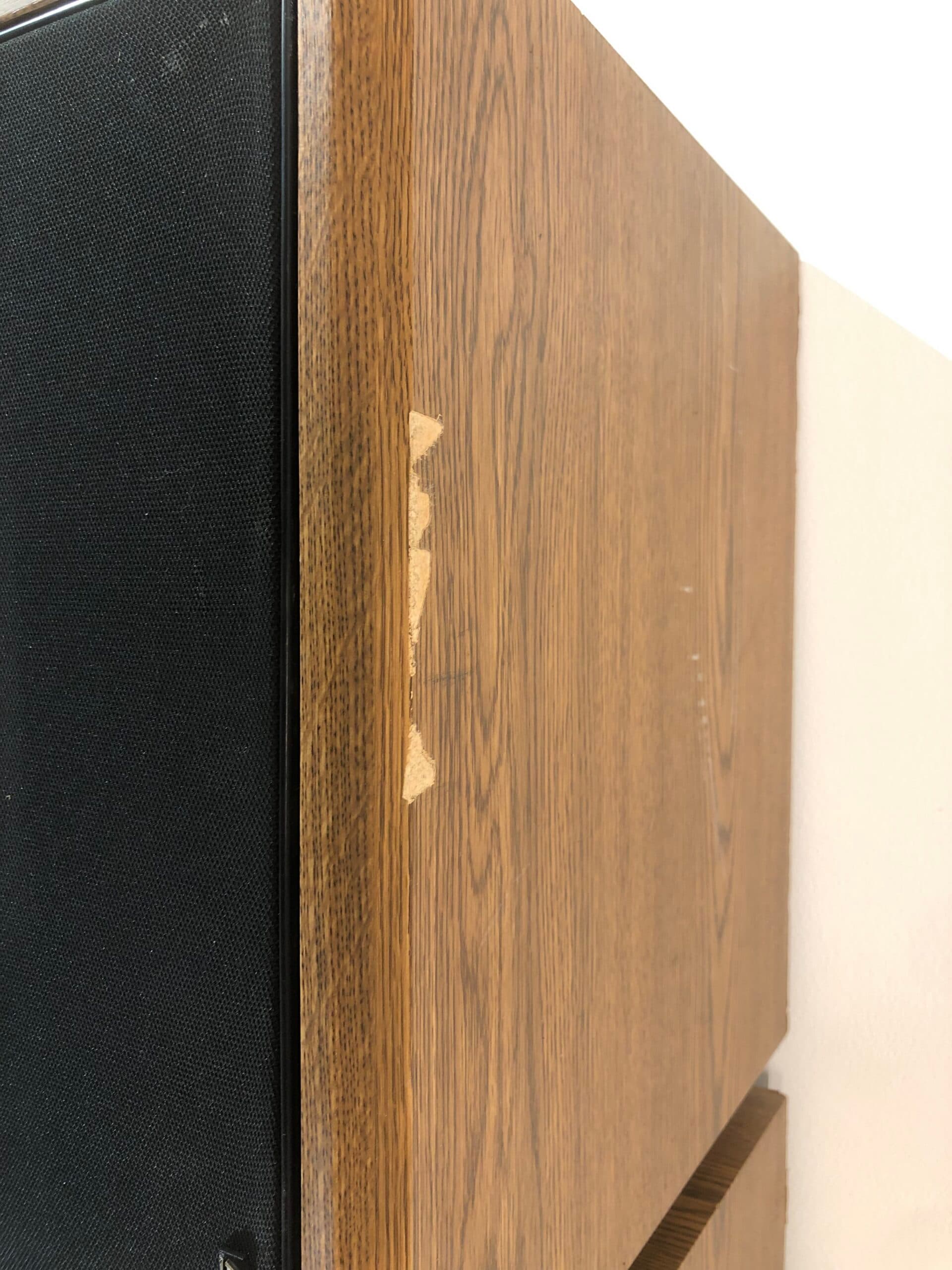 American Acoustics D9550E bilde 11