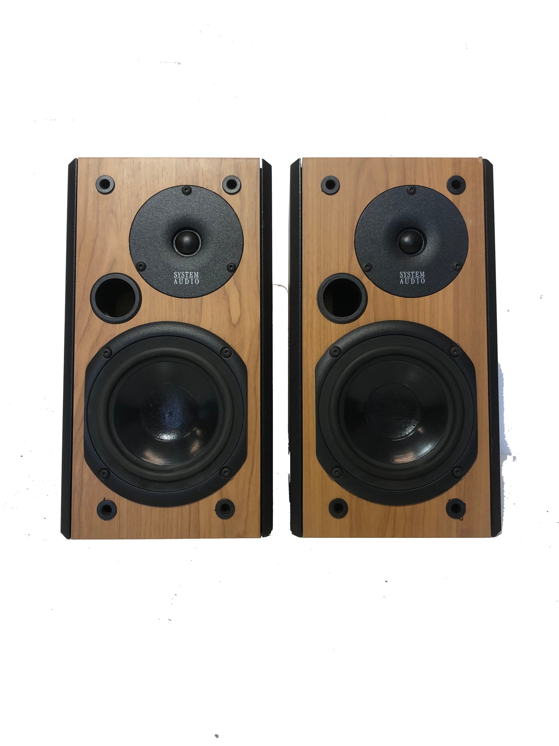 System Audio 1110