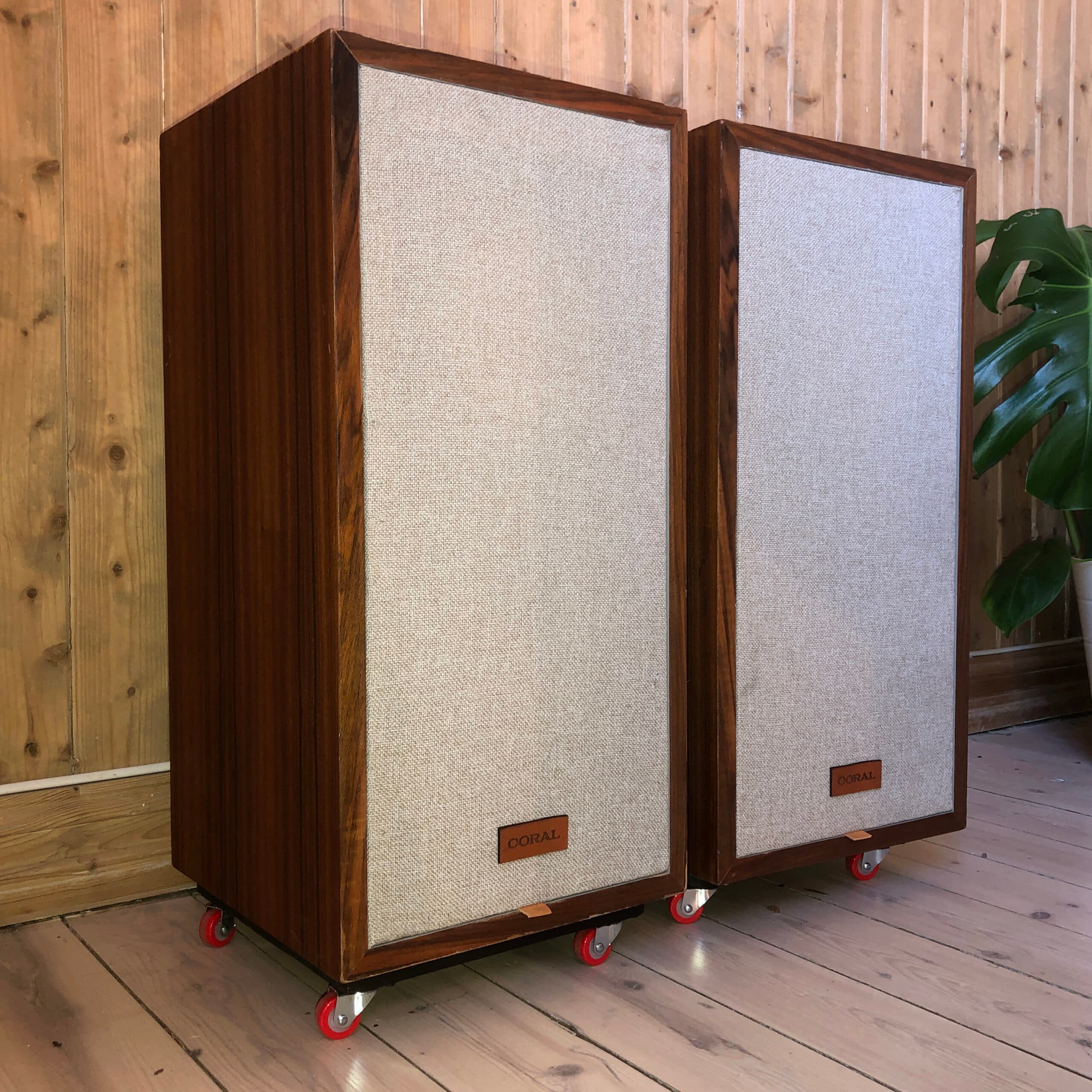 Coral Flat-6 bilde 3