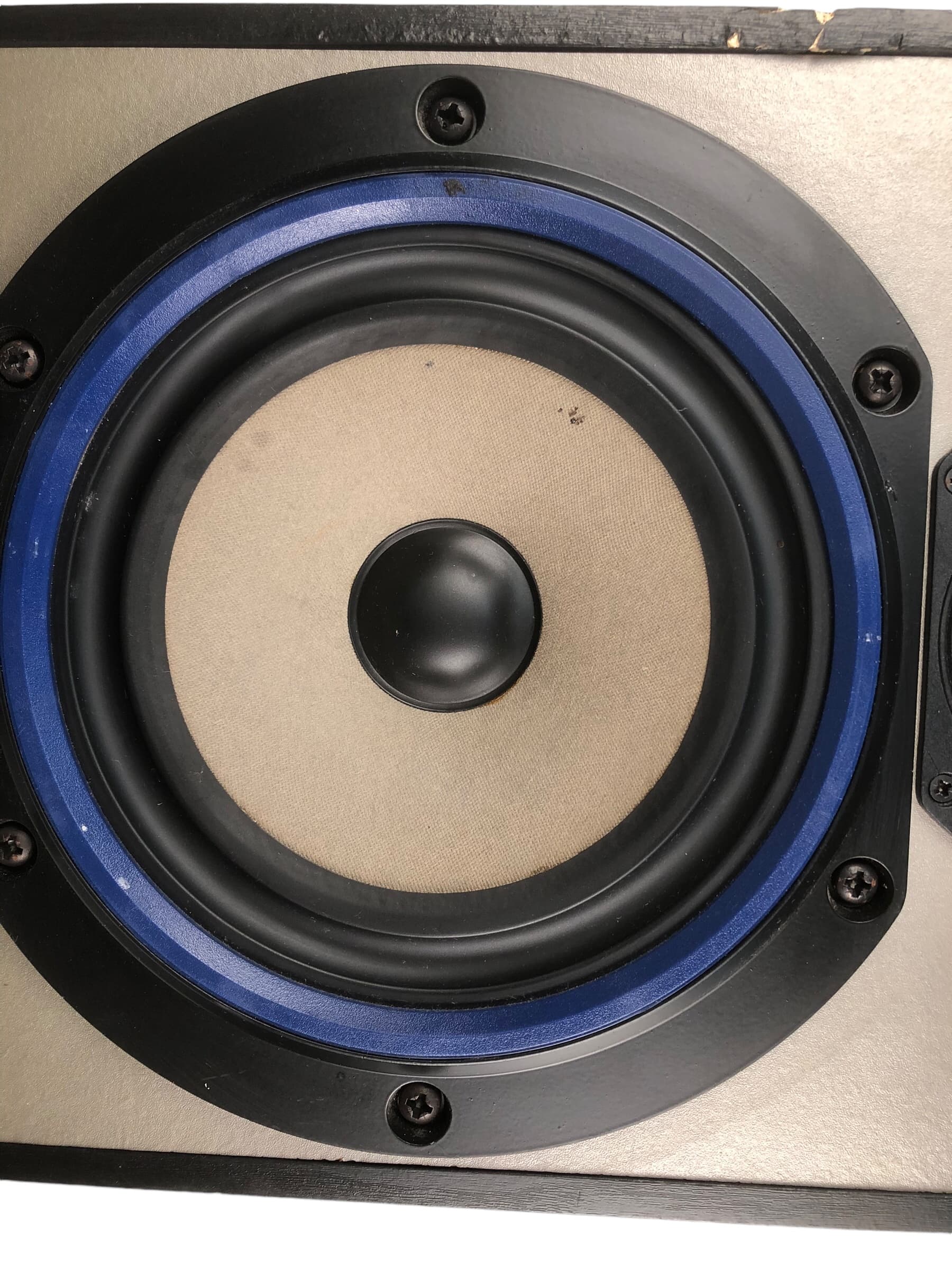 B&W DM 220 (Singel) bilde 6