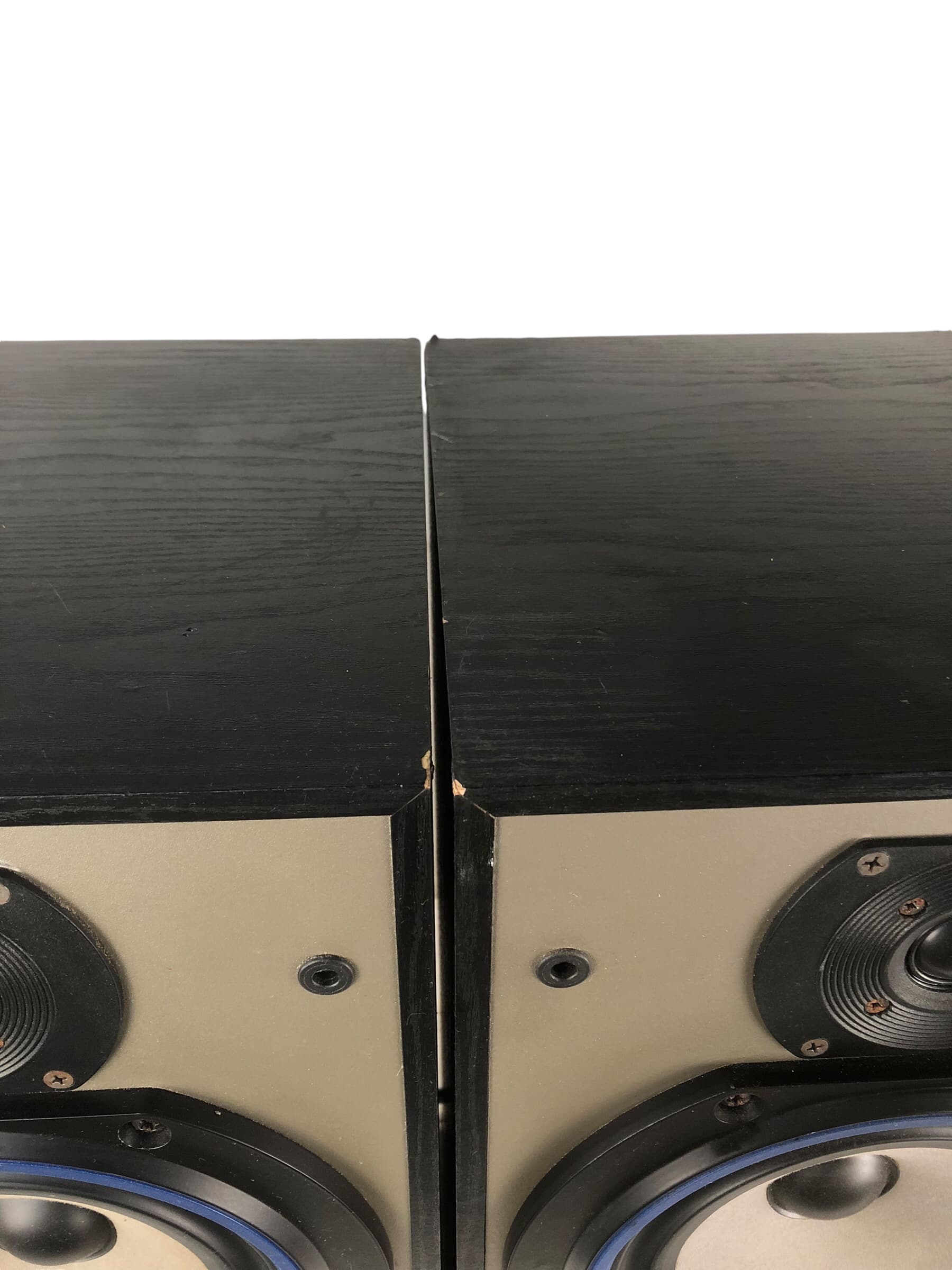 B&amp;W DM 220 bilde 7