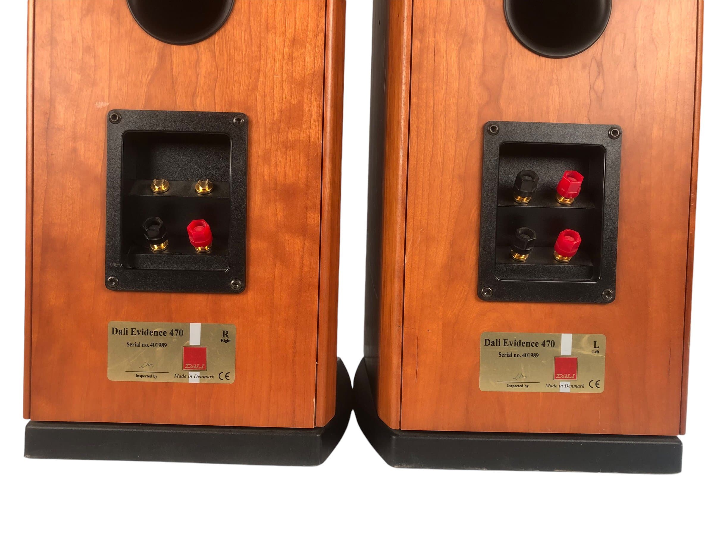 Dali Evidence 470 bilde 5