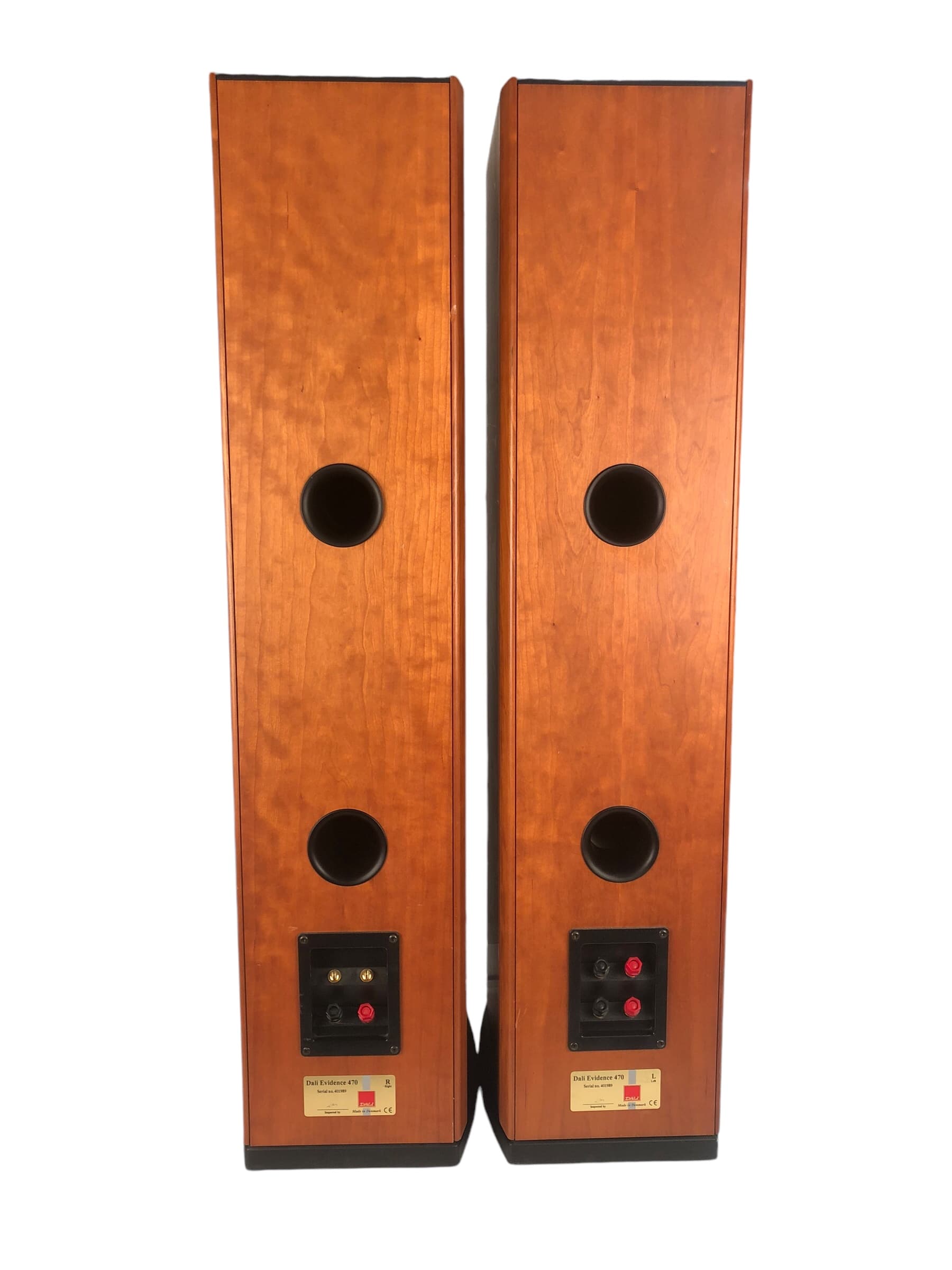 Dali Evidence 470 bilde 4