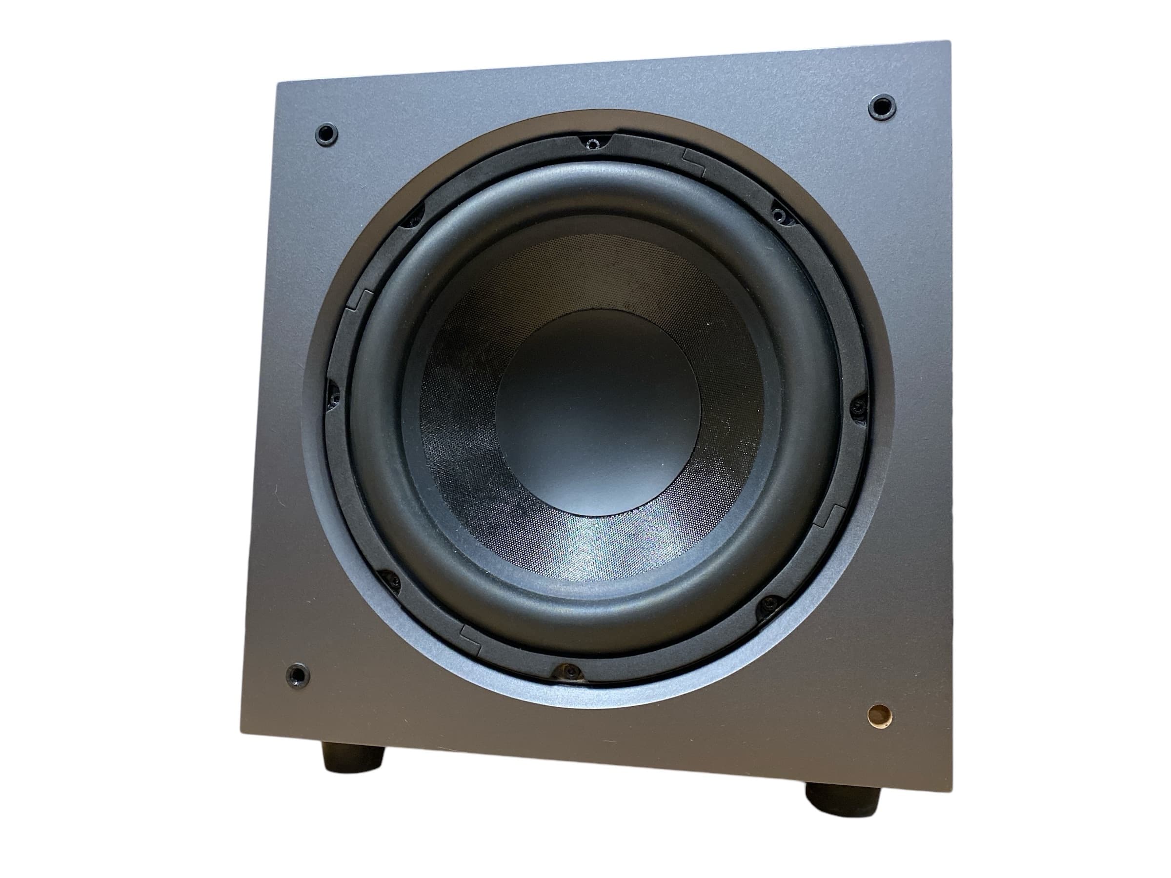 Dali Basis 100 bilde 2