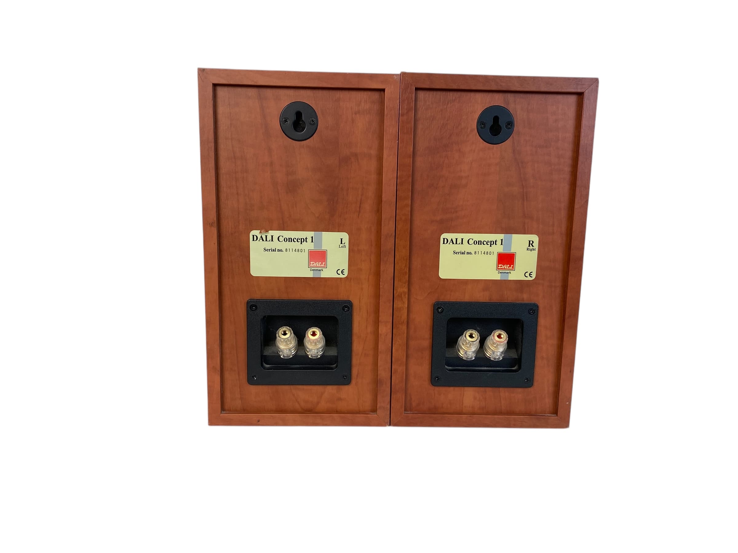 Dali Concept 1 bilde 7