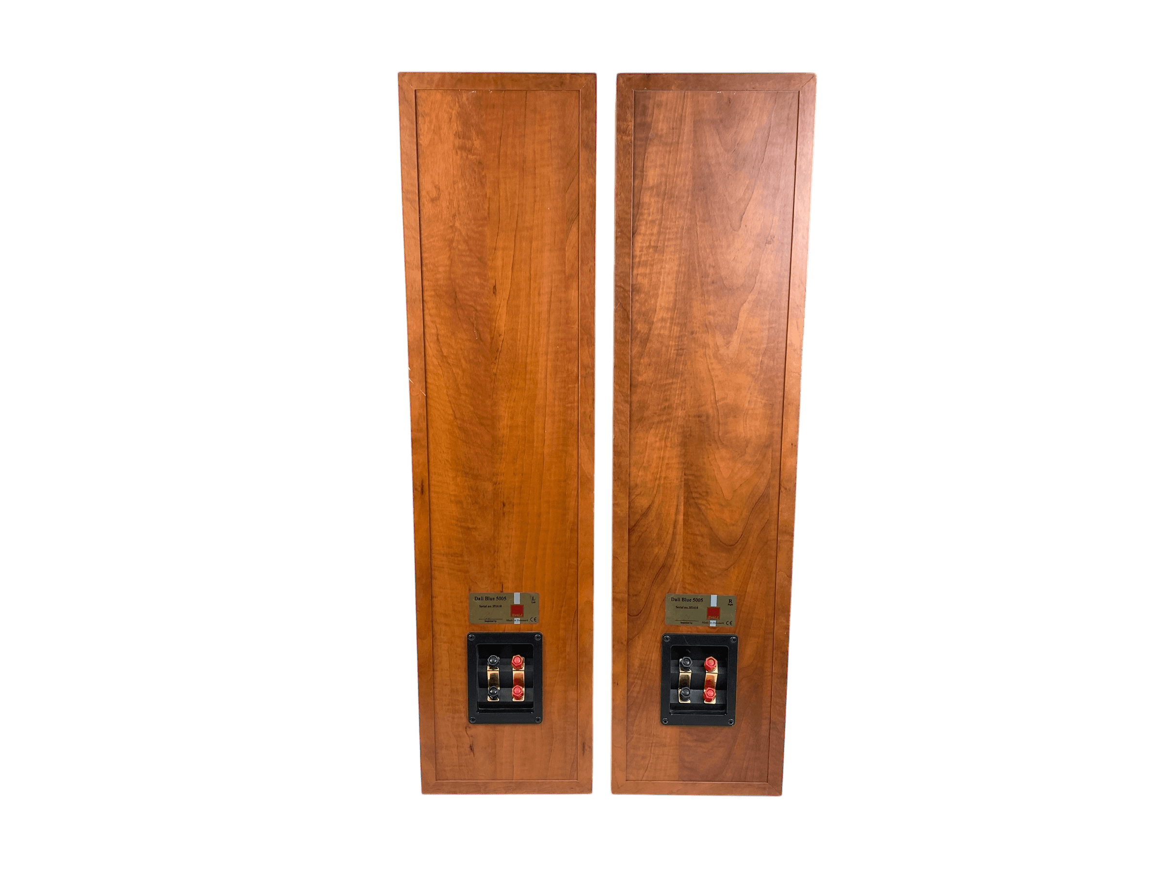 Dali Blue 5005 bilde 8