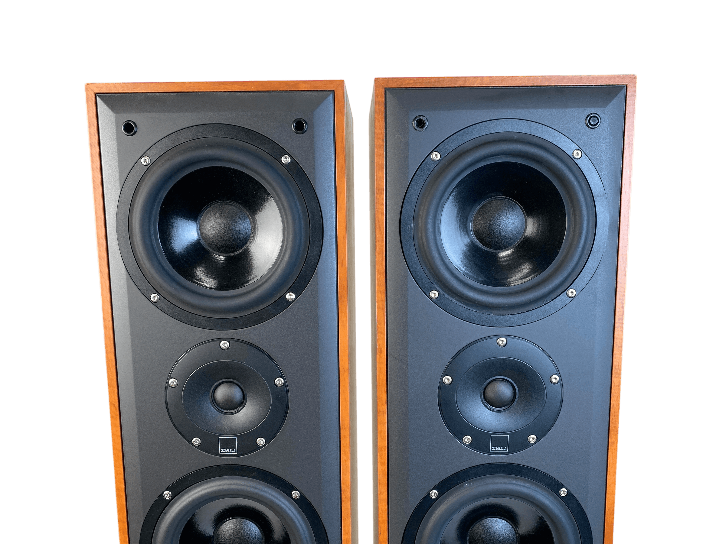 Dali Blue 5005 bilde 3