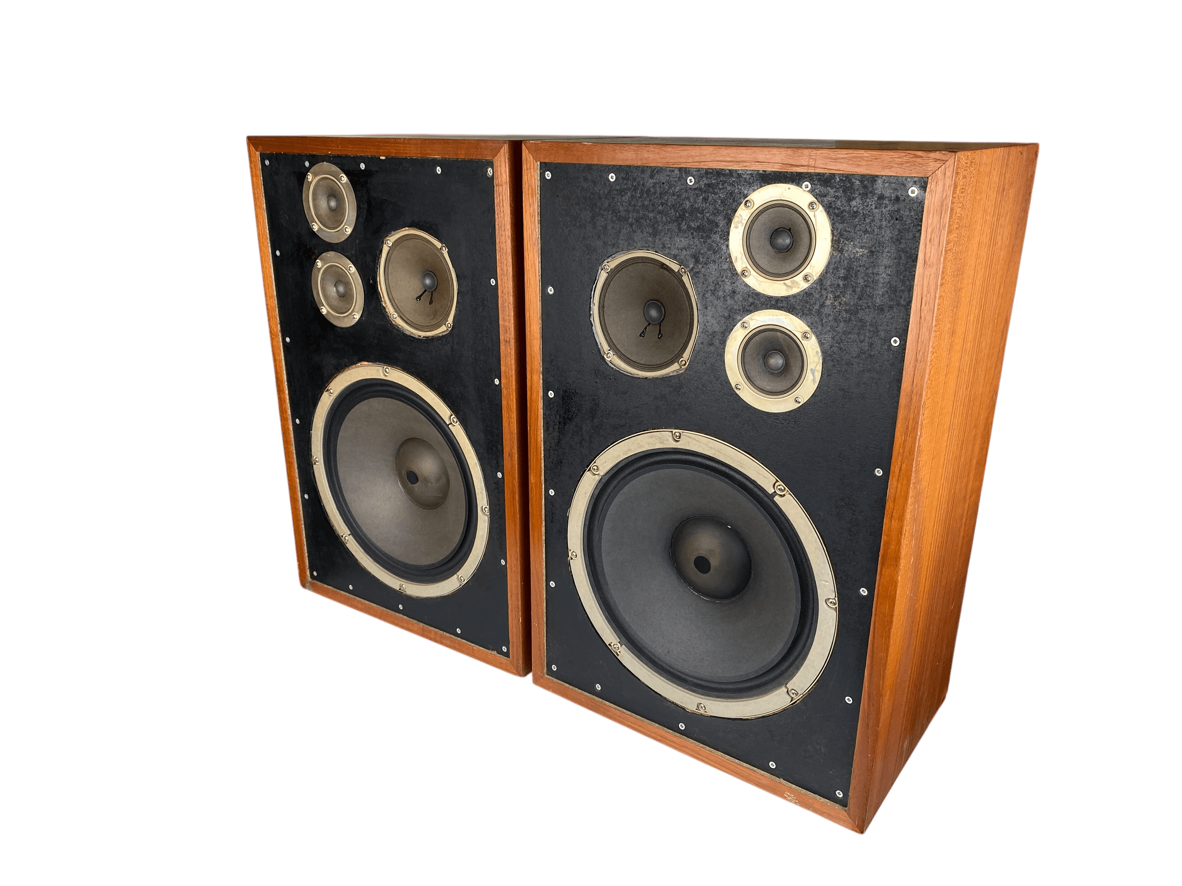 Coral 12SA-1 bilde 5