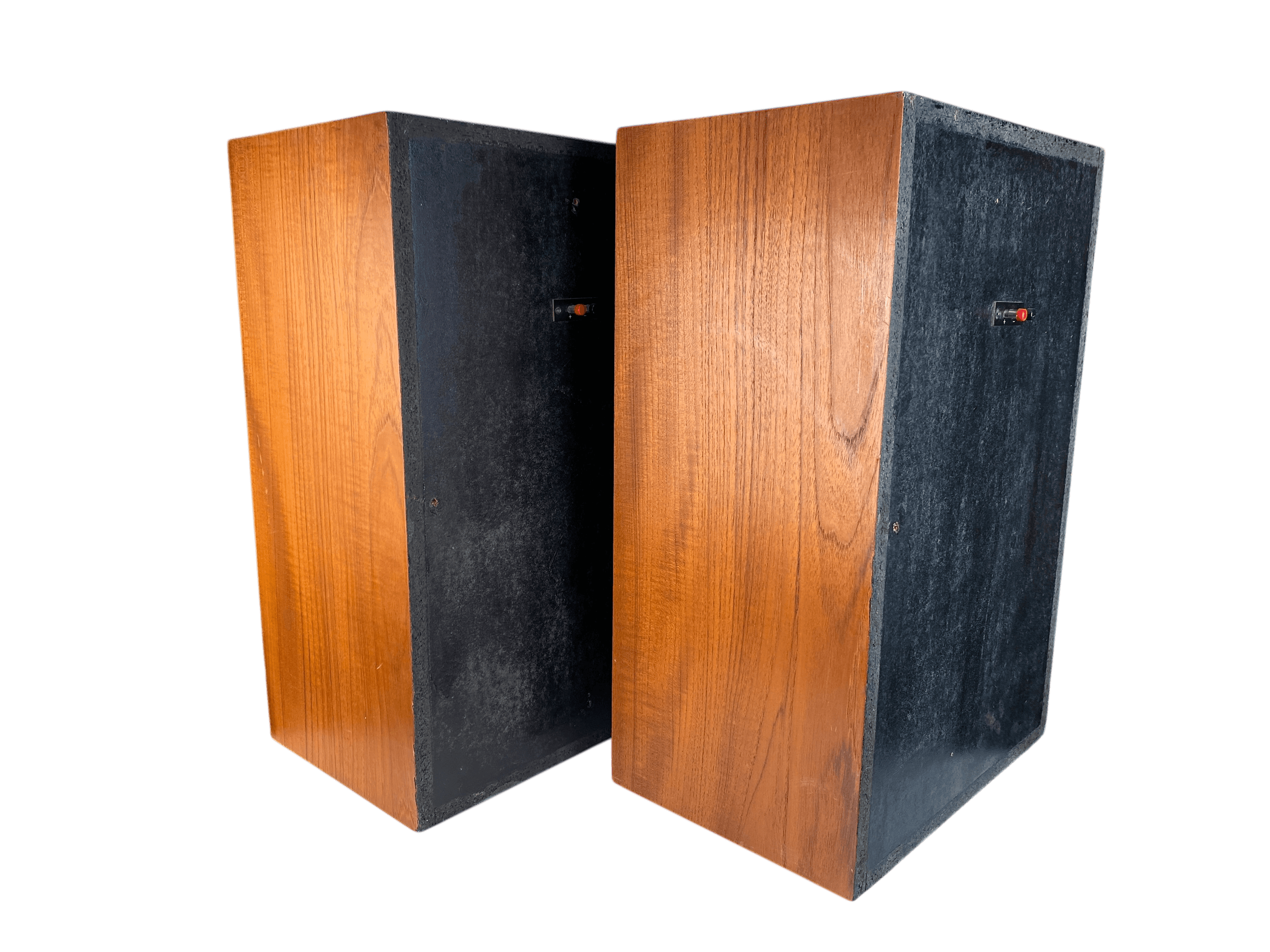 Coral 12SA-1 bilde 6