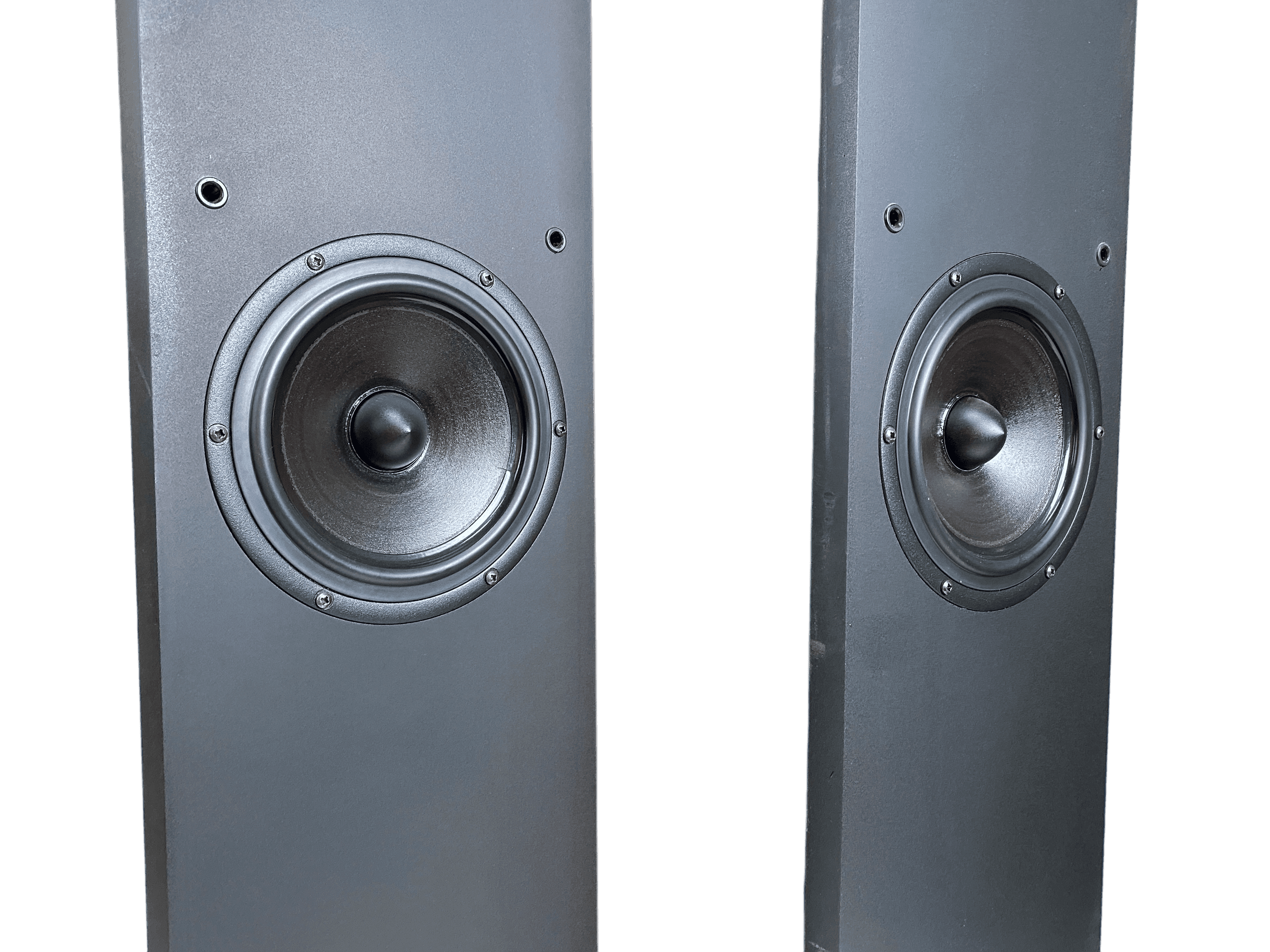 Patos Lyric 402 bilde 9