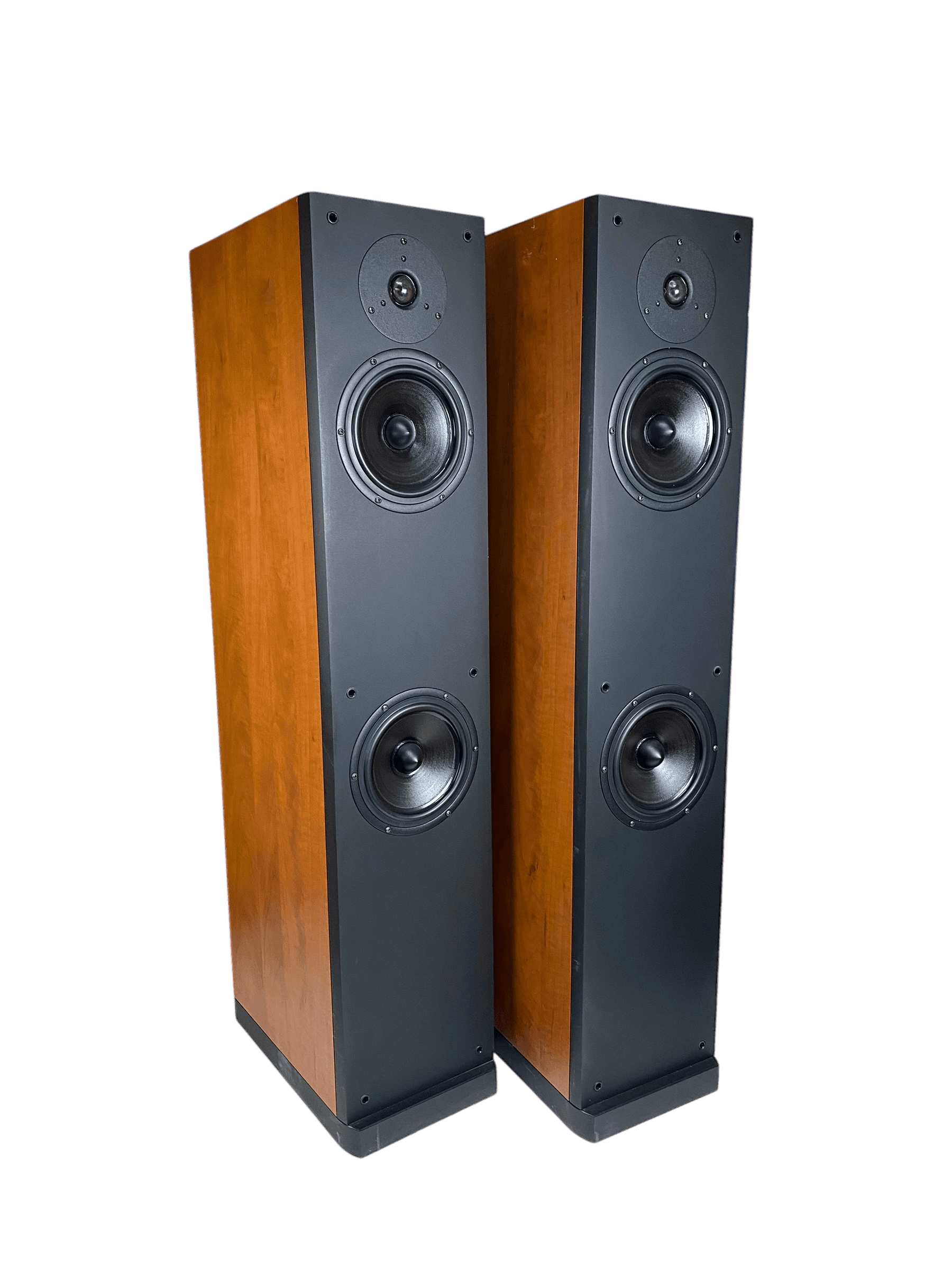 Patos Lyric 402 bilde 7