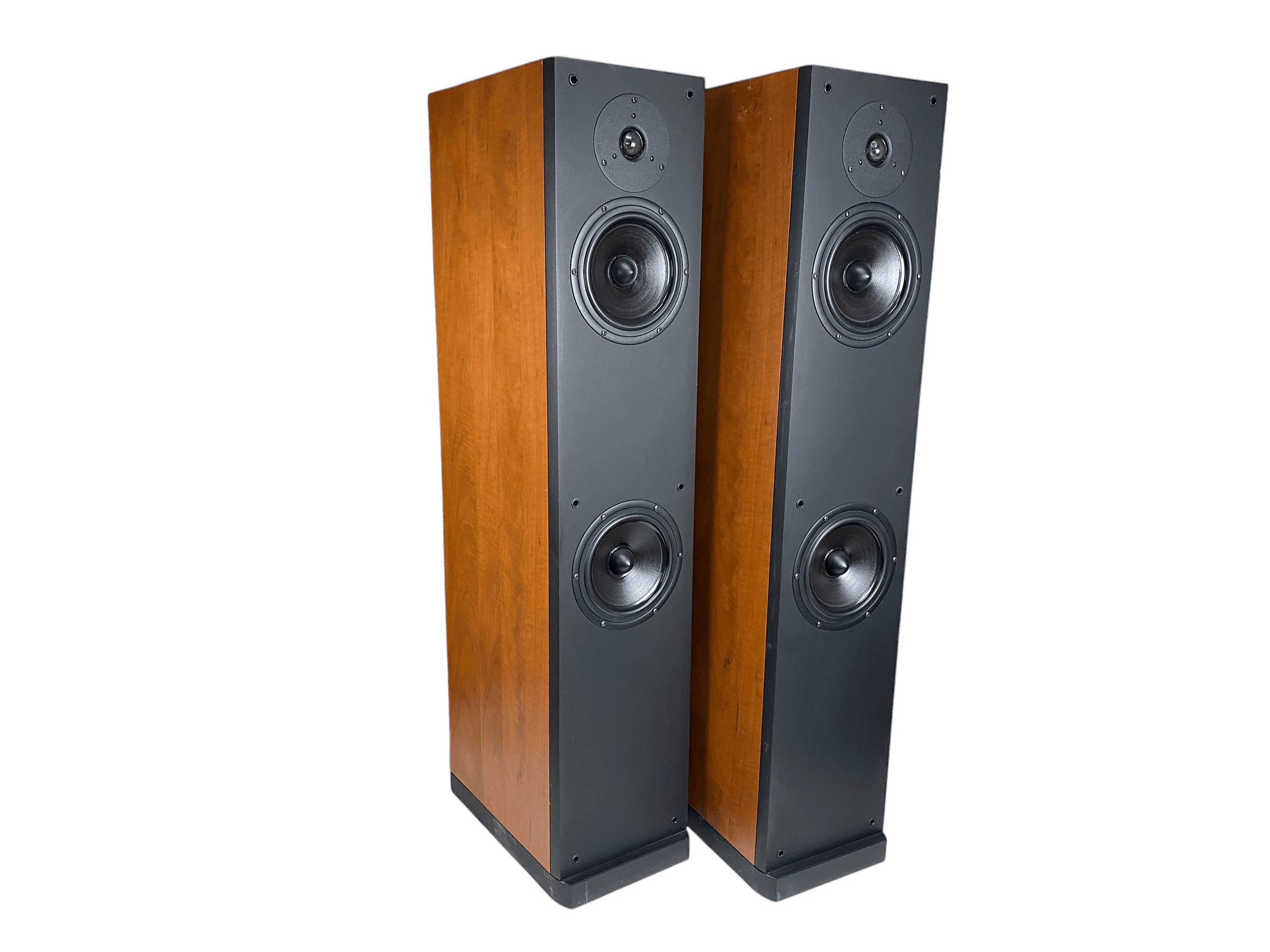 Patos Lyric 402 bilde 6