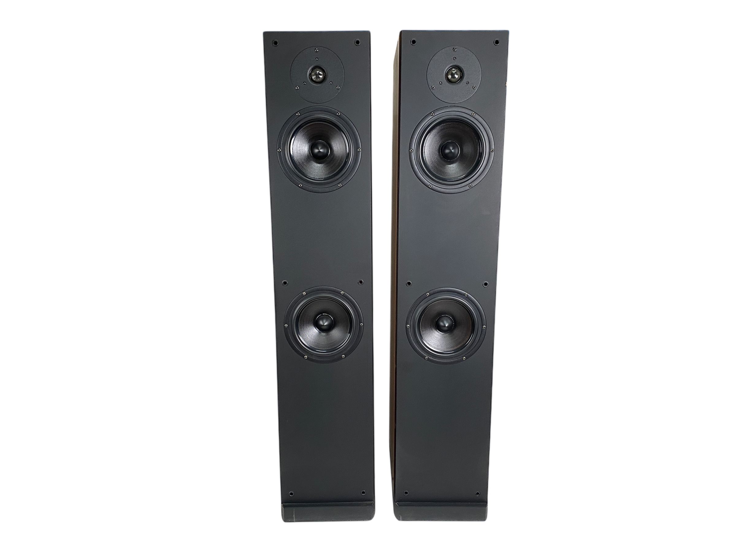 Patos Lyric 402 bilde 4