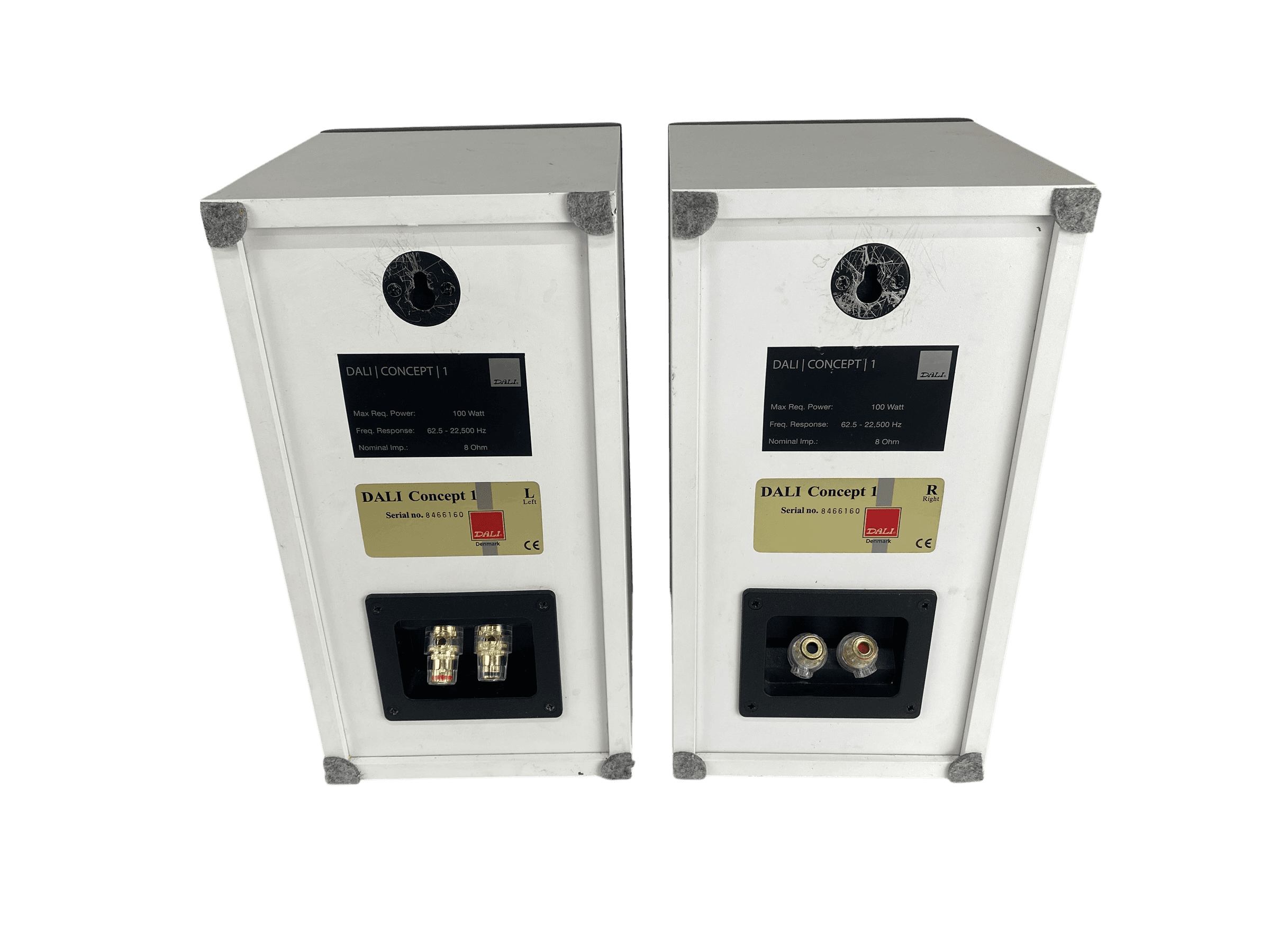 Dali Concept 1 bilde 6