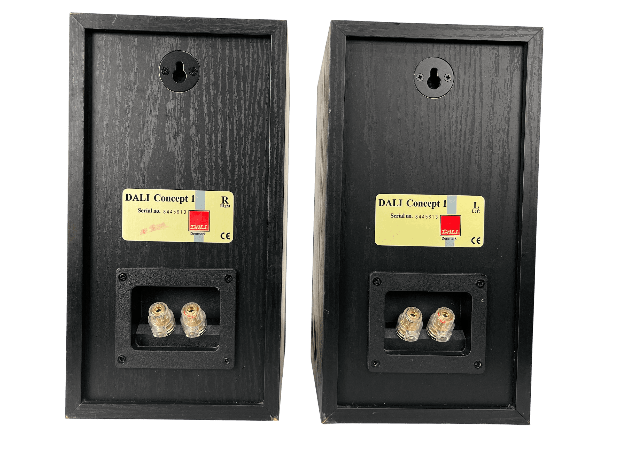 DALI Concept 1 bilde 6