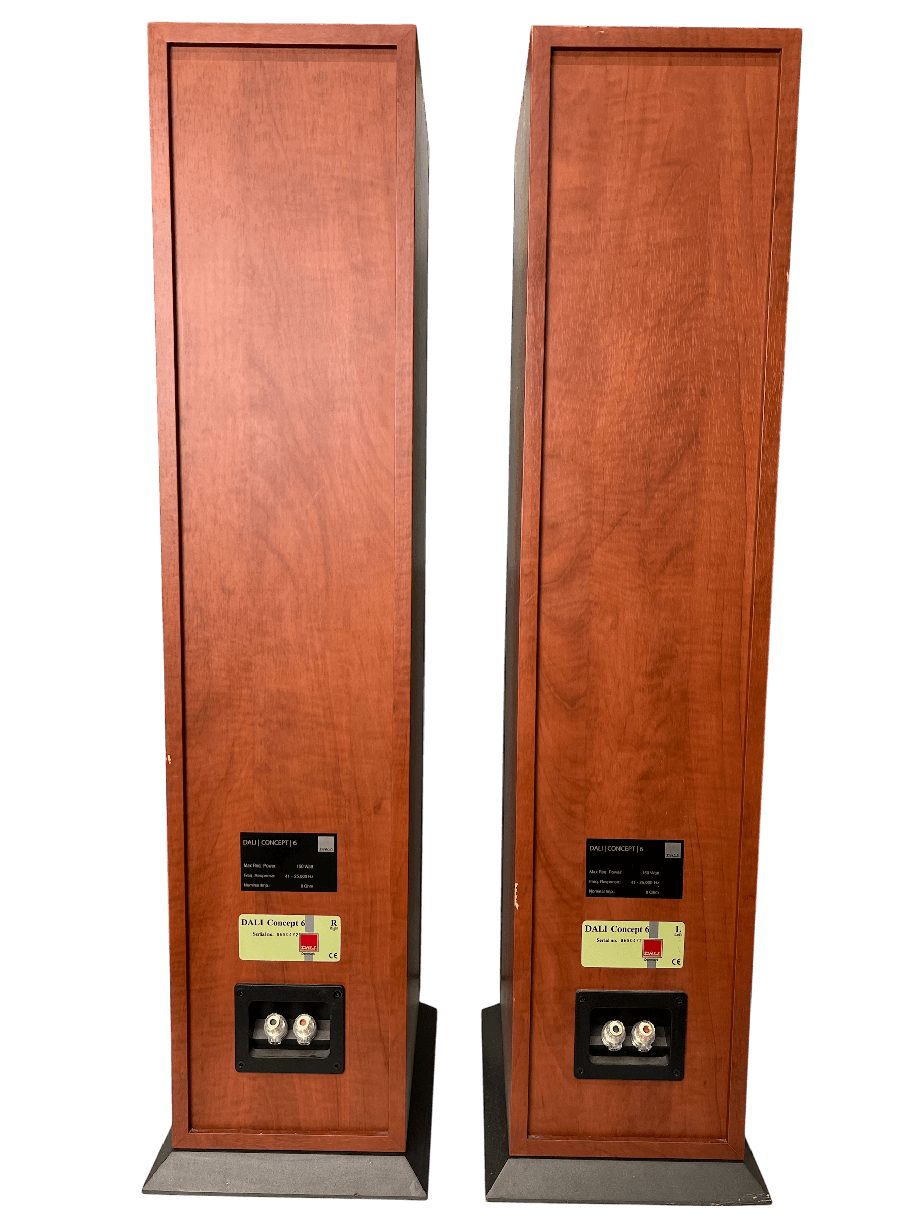 DALI Concept 6 bilde 4