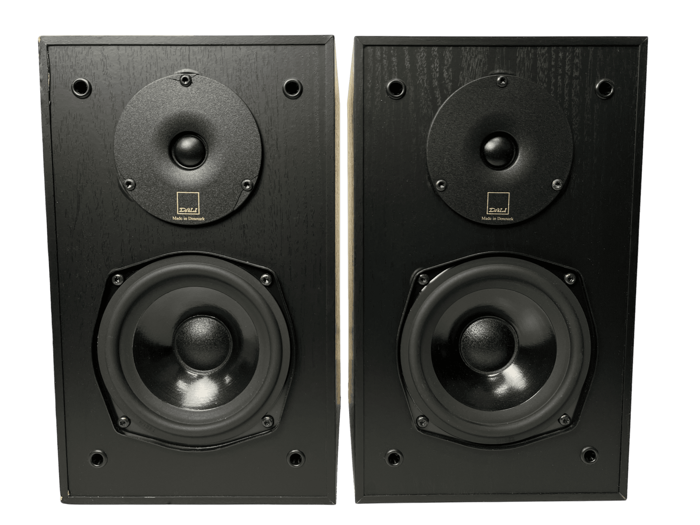 Dali AXS 1000 bilde 3