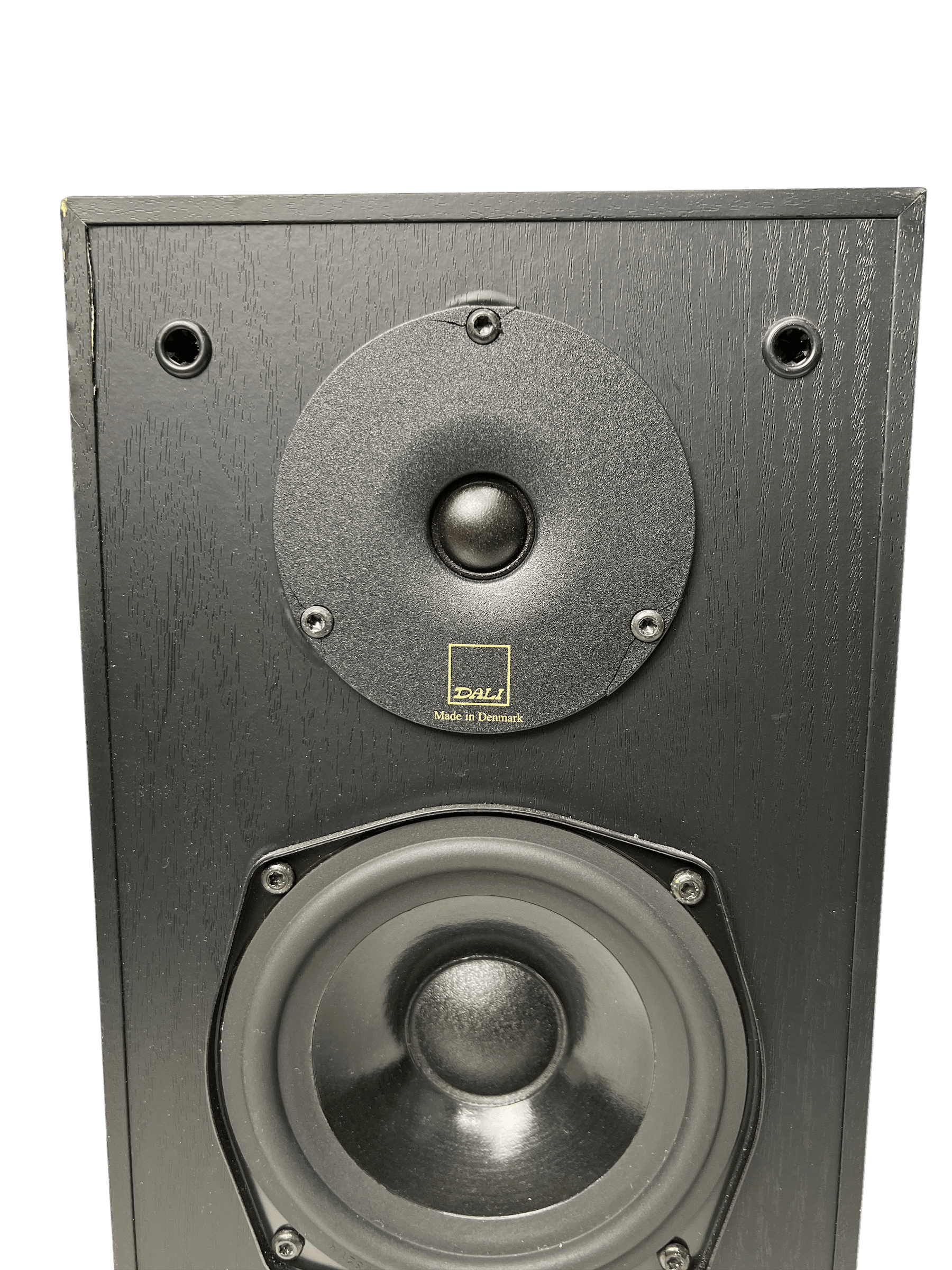 Dali AXS 1000 bilde 4