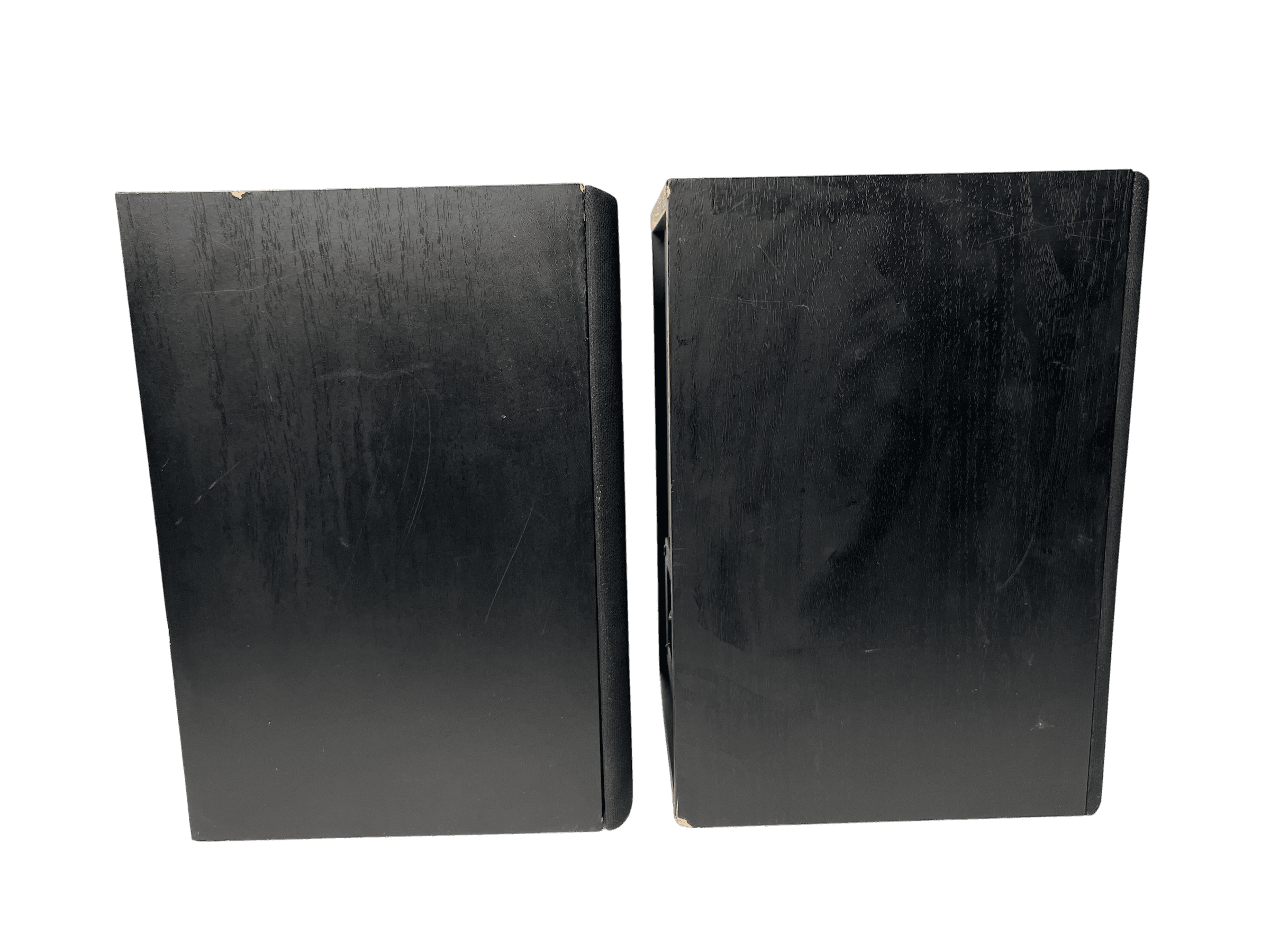 Dali AXS 1000 bilde 5