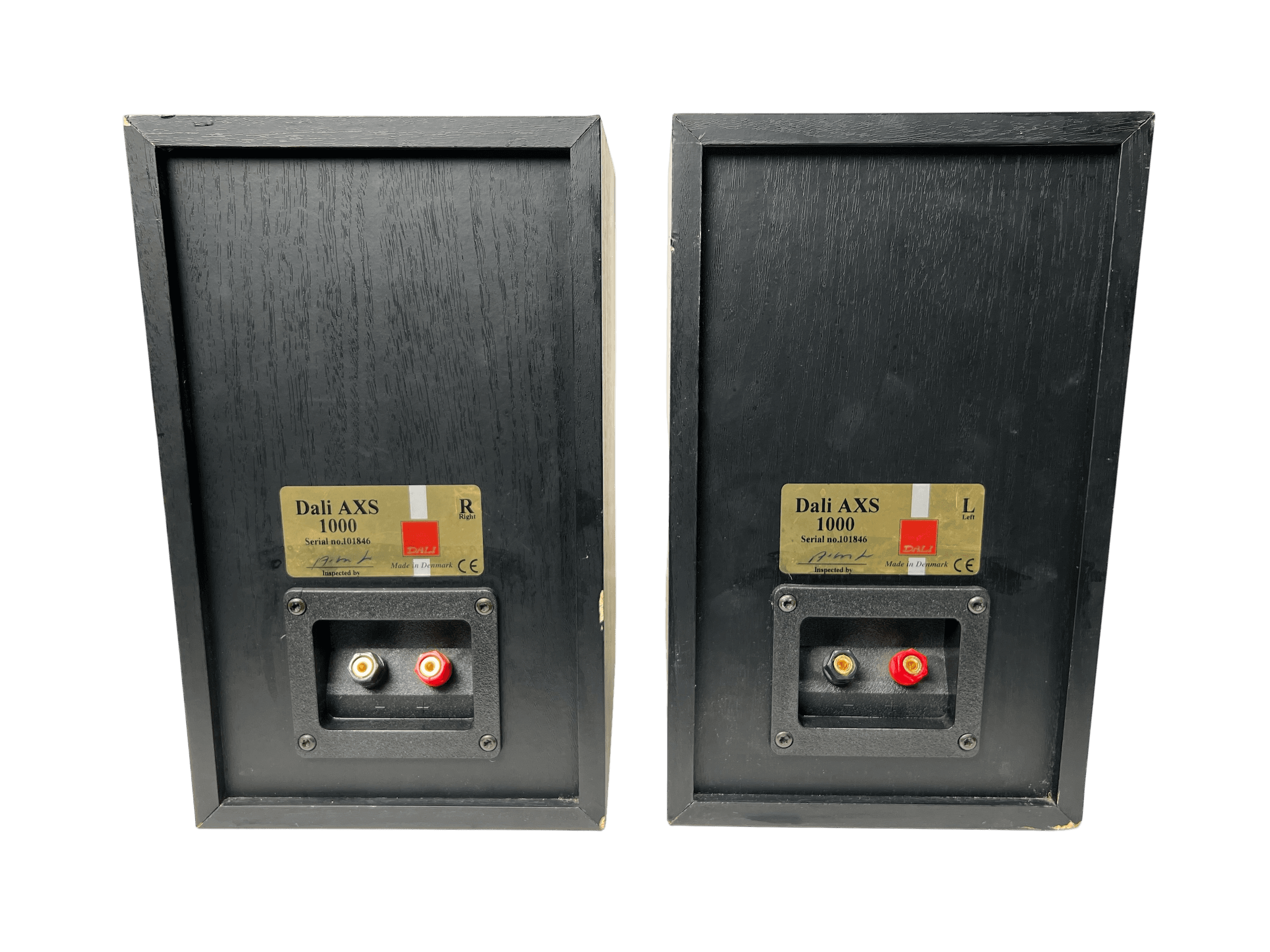 Dali AXS 1000 bilde 6