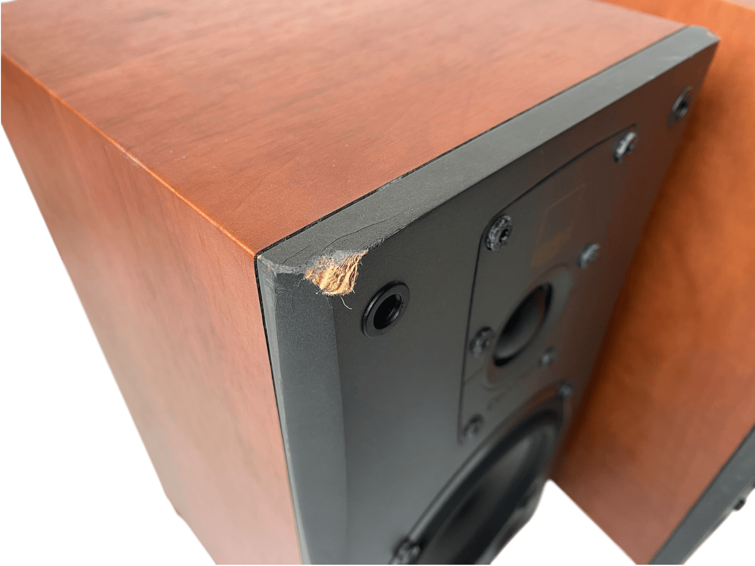 DALI Concept 1 cherry bilde 6