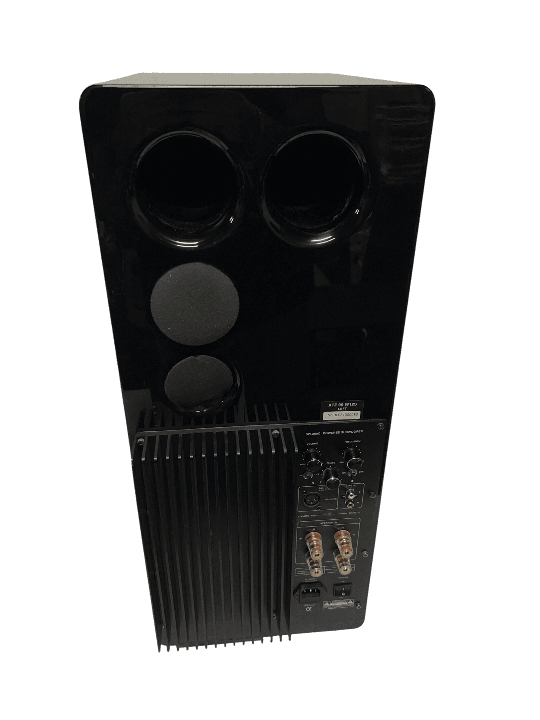 XTZ 99 W12 bilde 2